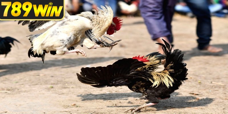 Lựa chọn phù hợp dựa trên điều kiện, diễn biến thực tế